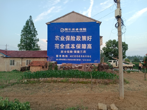 竹山墙体广告为何受追捧？